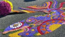 Италия, Спелло - цветочный ковер