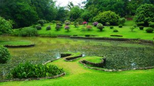 Королевский ботанический сад Шри-Ланки