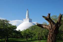 Анурадхапура - дагоба Руанвели