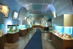 Нячанг - океанографический музей