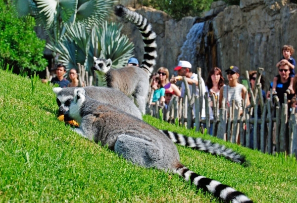 Валенсия - биопарк